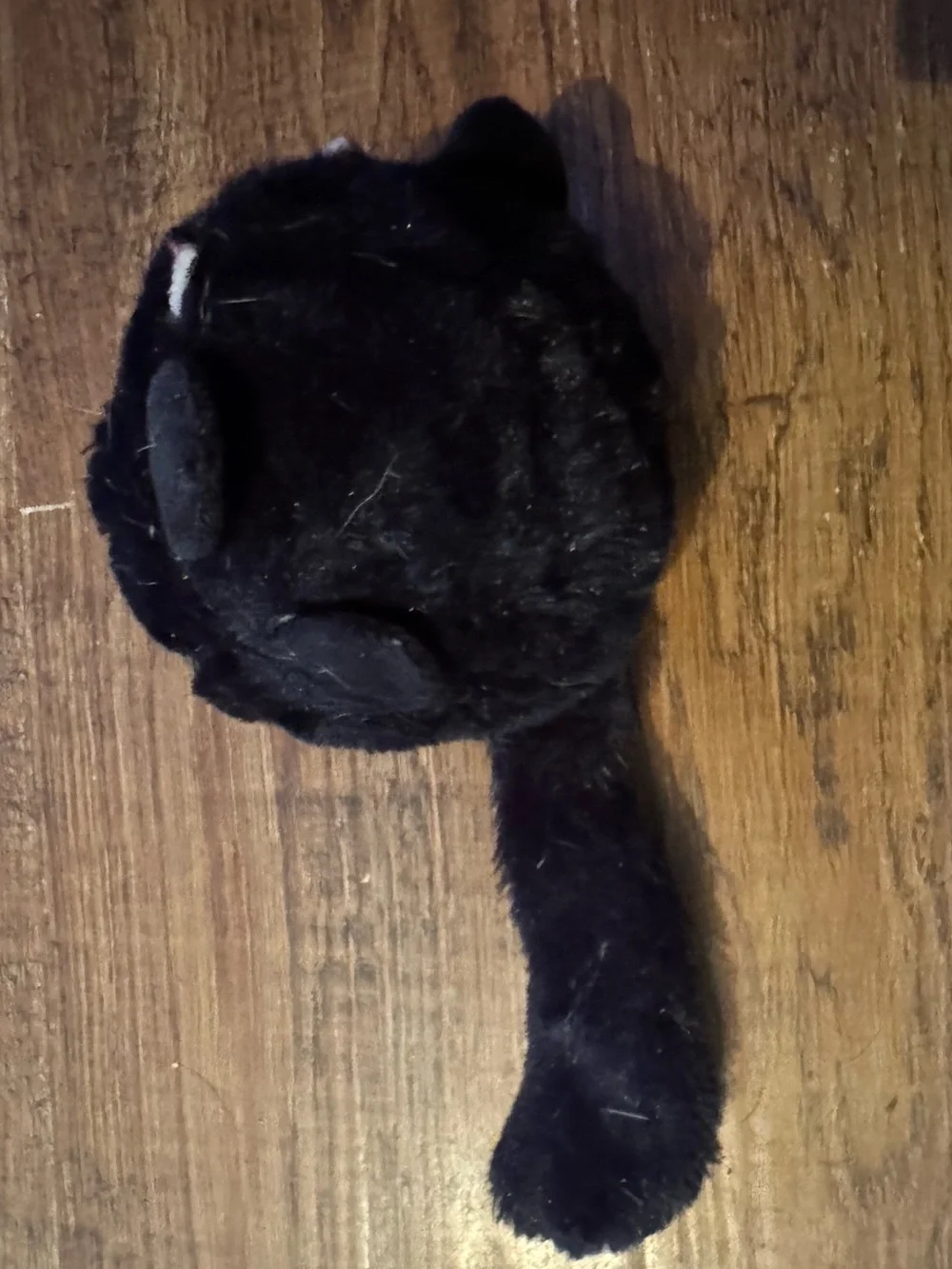 Bark Box L black cat rip & reveal dog toy